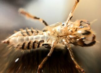 Co może oznaczać stukanie w silniku?