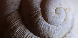 Jaka powłoka ceramiczna dla amatorów?